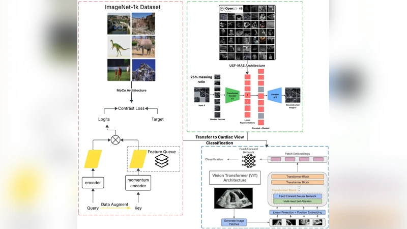 Benchmarking Self-Supervised Models for Cardiac Ultrasound View Classification
