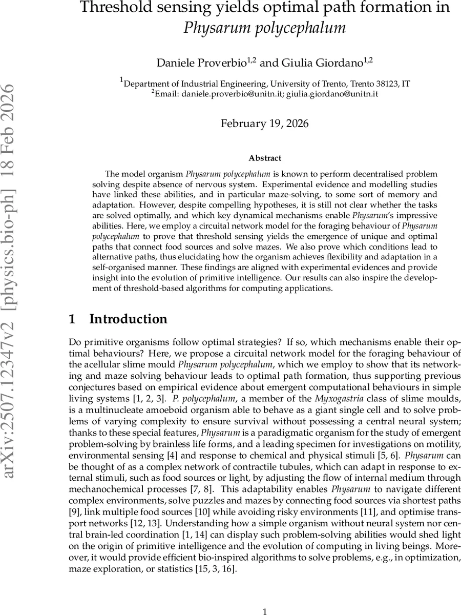 Threshold sensing yields optimal path formation in Physarum polycephalum