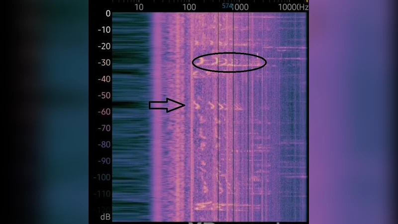 In-Situ Analysis of Vibration and Acoustic Data in Additive Manufacturing