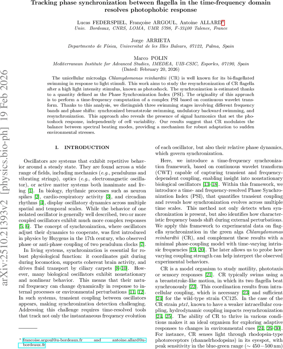 Tracking phase synchronization between flagella in the time-frequency domain resolves photophobic response