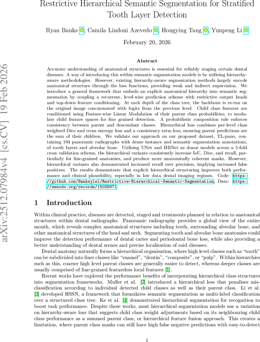 Restrictive Hierarchical Semantic Segmentation for Stratified Tooth Layer Detection