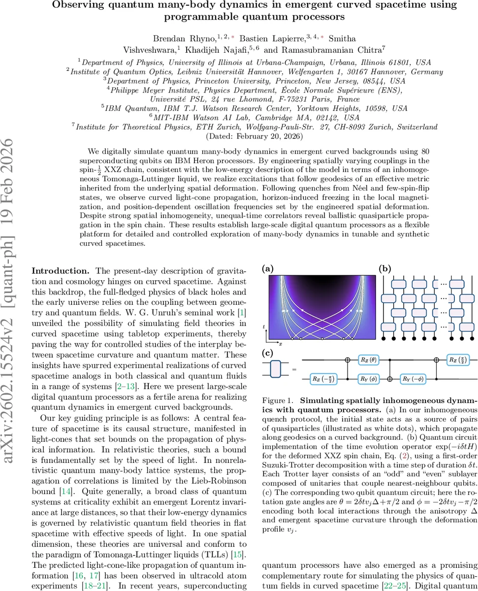 Observing quantum many-body dynamics in emergent curved spacetime using programmable quantum processors