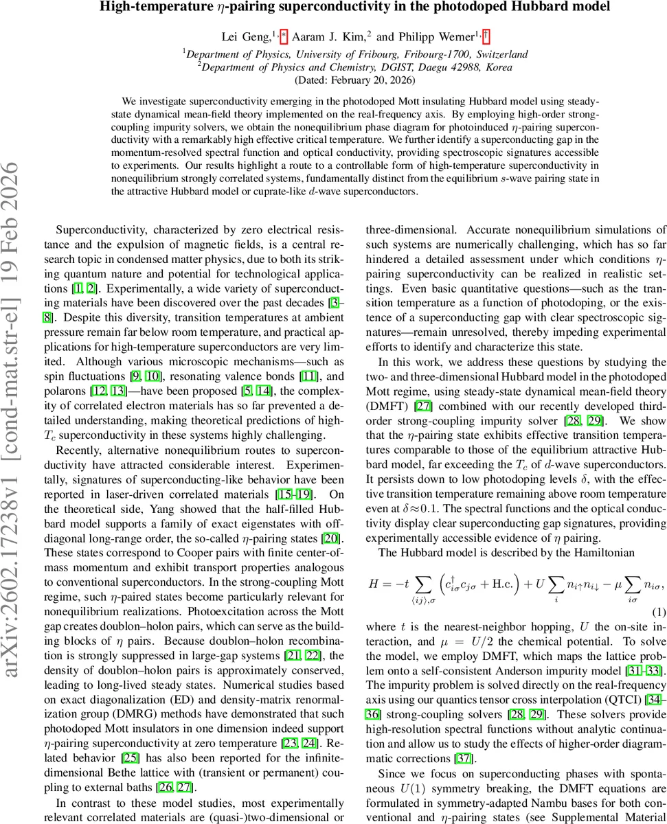 Exact description of fermionic reservoirs via purified damped ancillary fermions