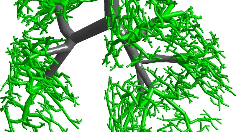 Spatio-temporal air flow properties in a 3D personalised model of the human lung