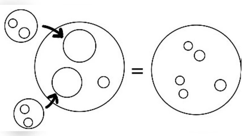 Prefactorization algebras for the conformal Laplacian: Central charge and Hilbert Fock space