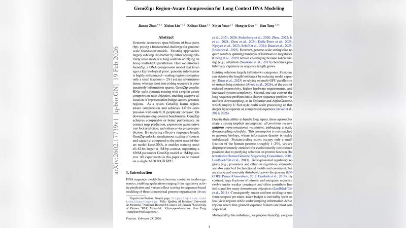 GeneZip: Region-Aware Compression for Long Context DNA Modeling