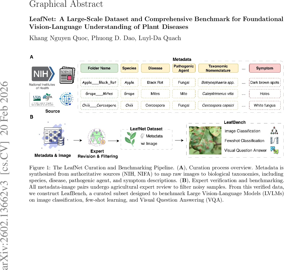 LeafNet: A Large-Scale Dataset and Comprehensive Benchmark for Foundational Vision-Language Understanding of Plant Diseases