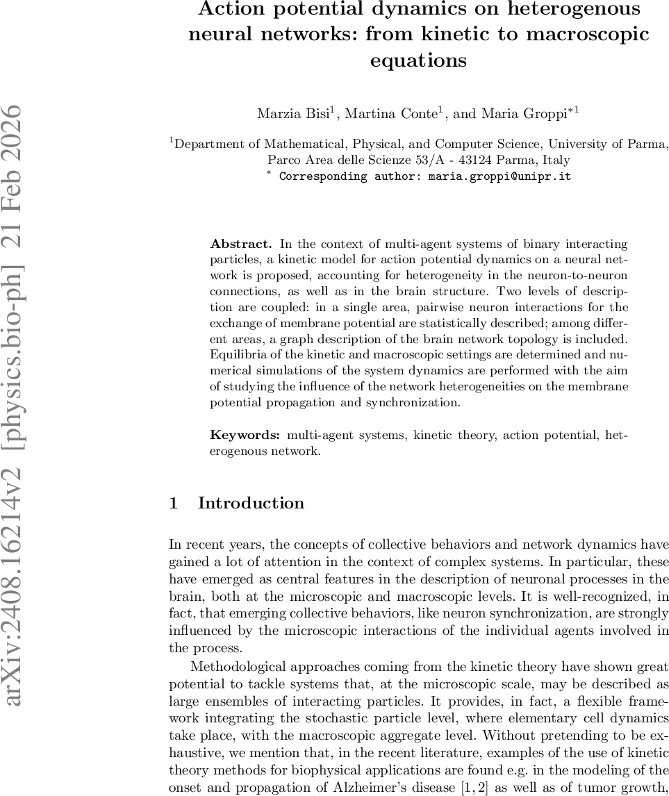 Artificial Intelligence and Symmetries: Learning, Encoding, and Discovering Structure in Physical Data