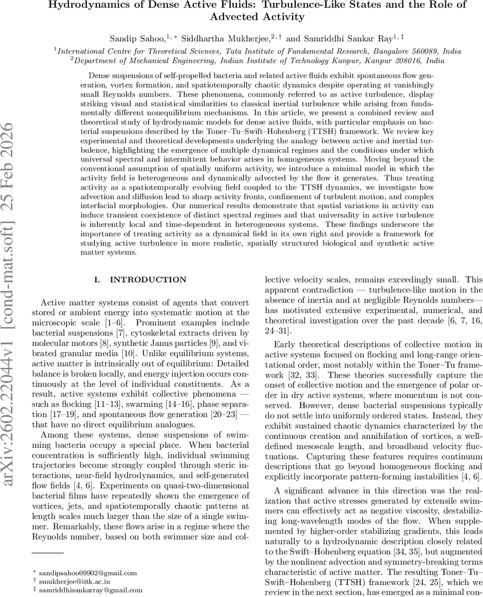 Hydrodynamics of Dense Active Fluids: Turbulence-Like States and the Role of Advected Activity