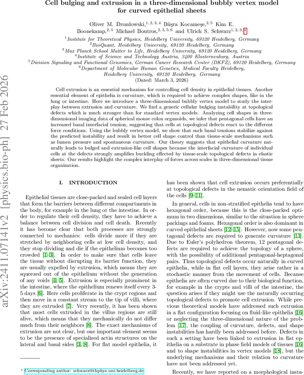 Geometry-Enabled Radiation from Structured Paraxial Electrons