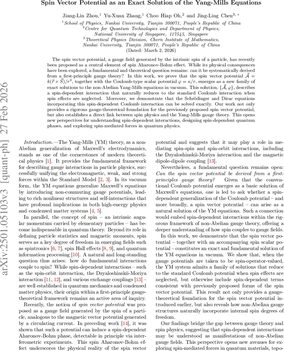 Spin Vector Potential as an Exact Solution of the Yang-Mills Equations