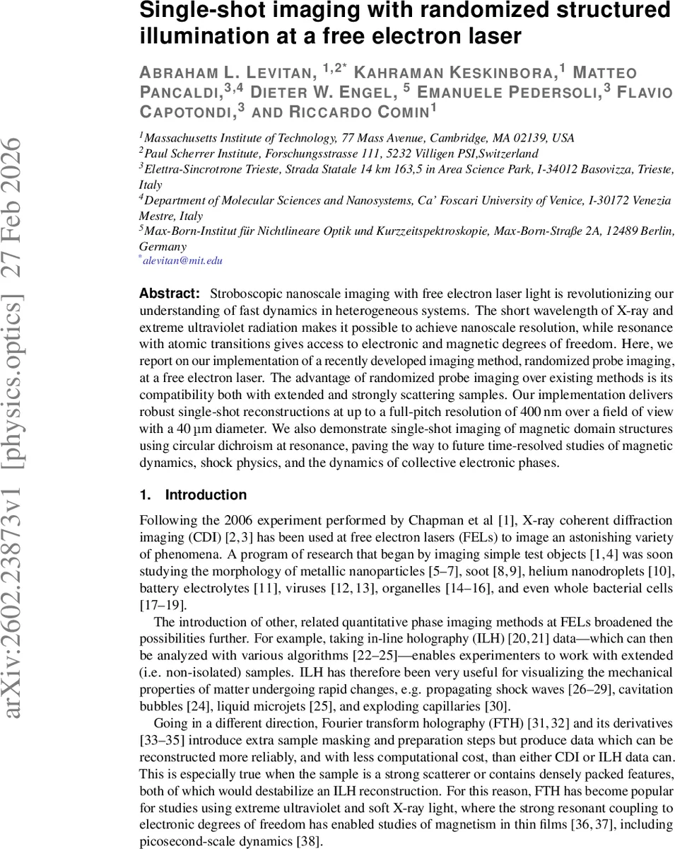 Single-shot imaging with randomized structured illumination at a free electron laser