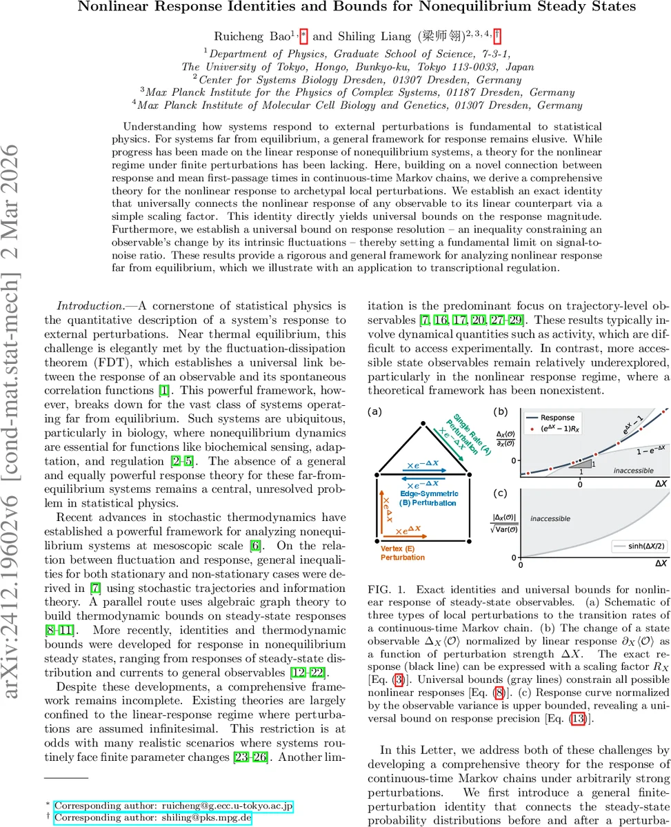 Nonlinear Response Identities and Bounds for Nonequilibrium Steady States