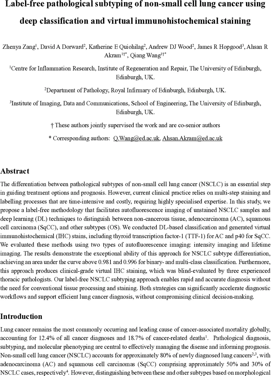 Label-free pathological subtyping of non-small cell lung cancer using deep classification and virtual immunohistochemical staining