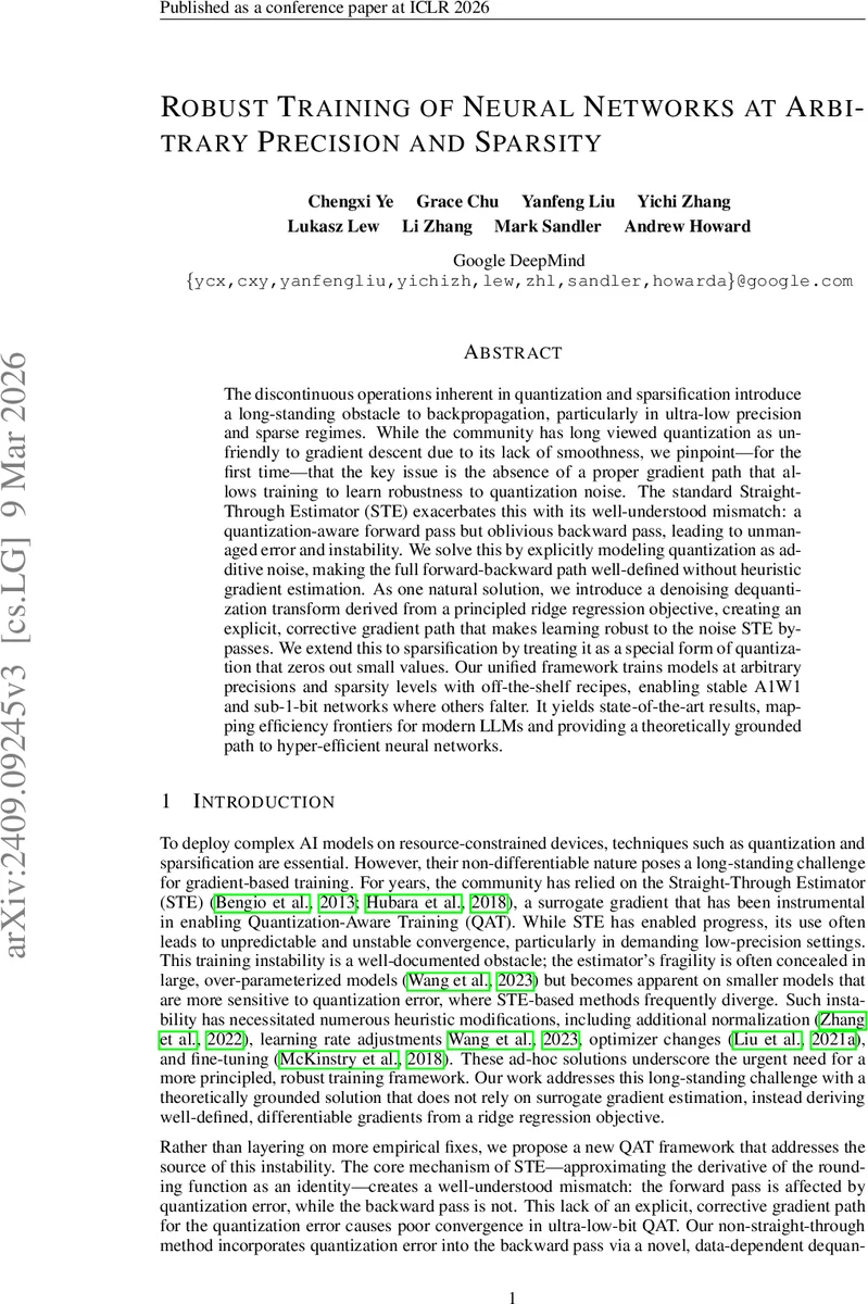 Robust Training of Neural Networks at Arbitrary Precision and Sparsity