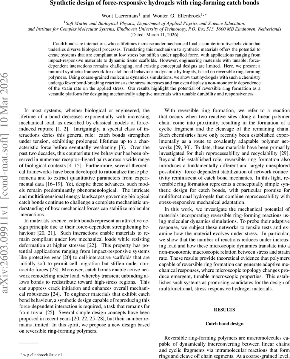 Counterexamples to conjectures about Subset Takeaway and counting linear   extensions of a Boolean lattice