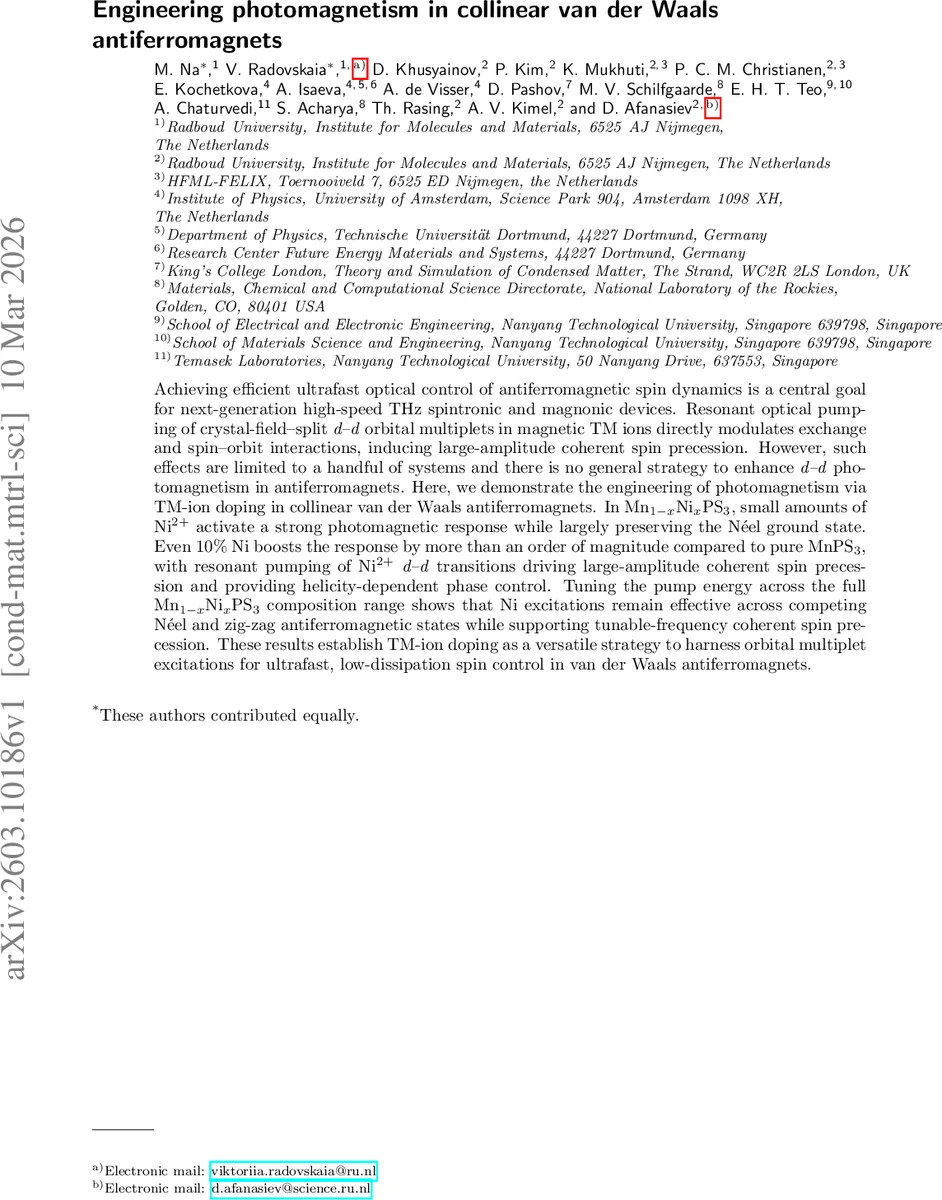 Engineering photomagnetism in collinear van der Waals antiferromagnets
