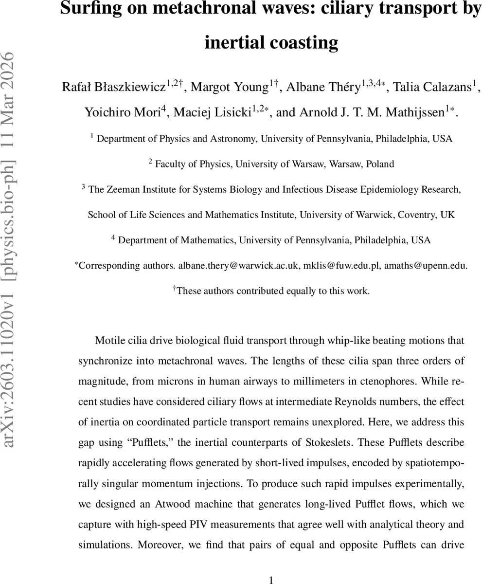 Simulating the Economic Impact of Rationality through Reinforcement Learning and Agent-Based Modelling