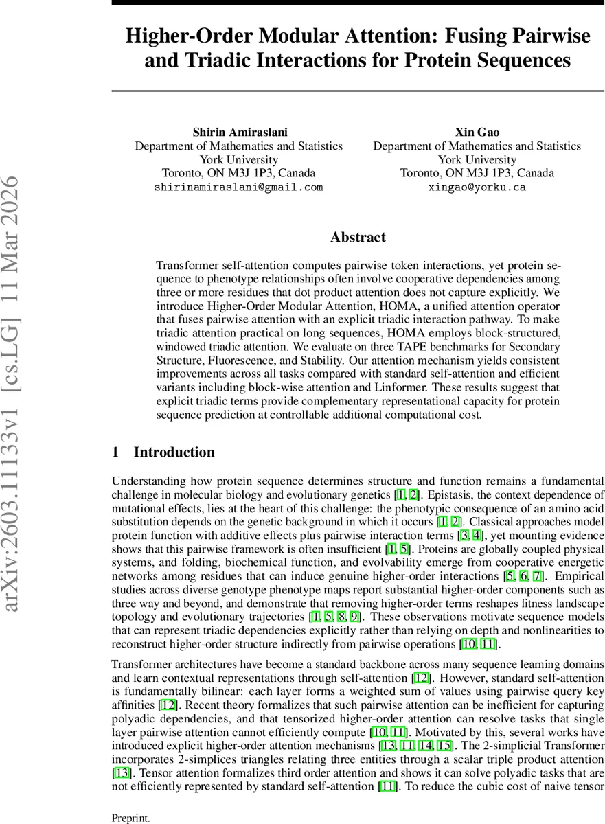 Higher-Order Modular Attention: Fusing Pairwise and Triadic Interactions for Protein Sequences