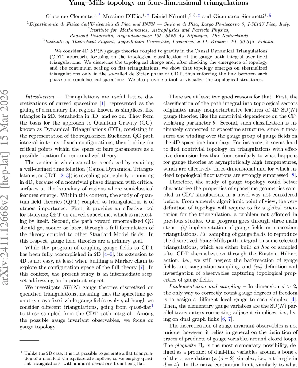 Yang--Mills topology on four-dimensional triangulations