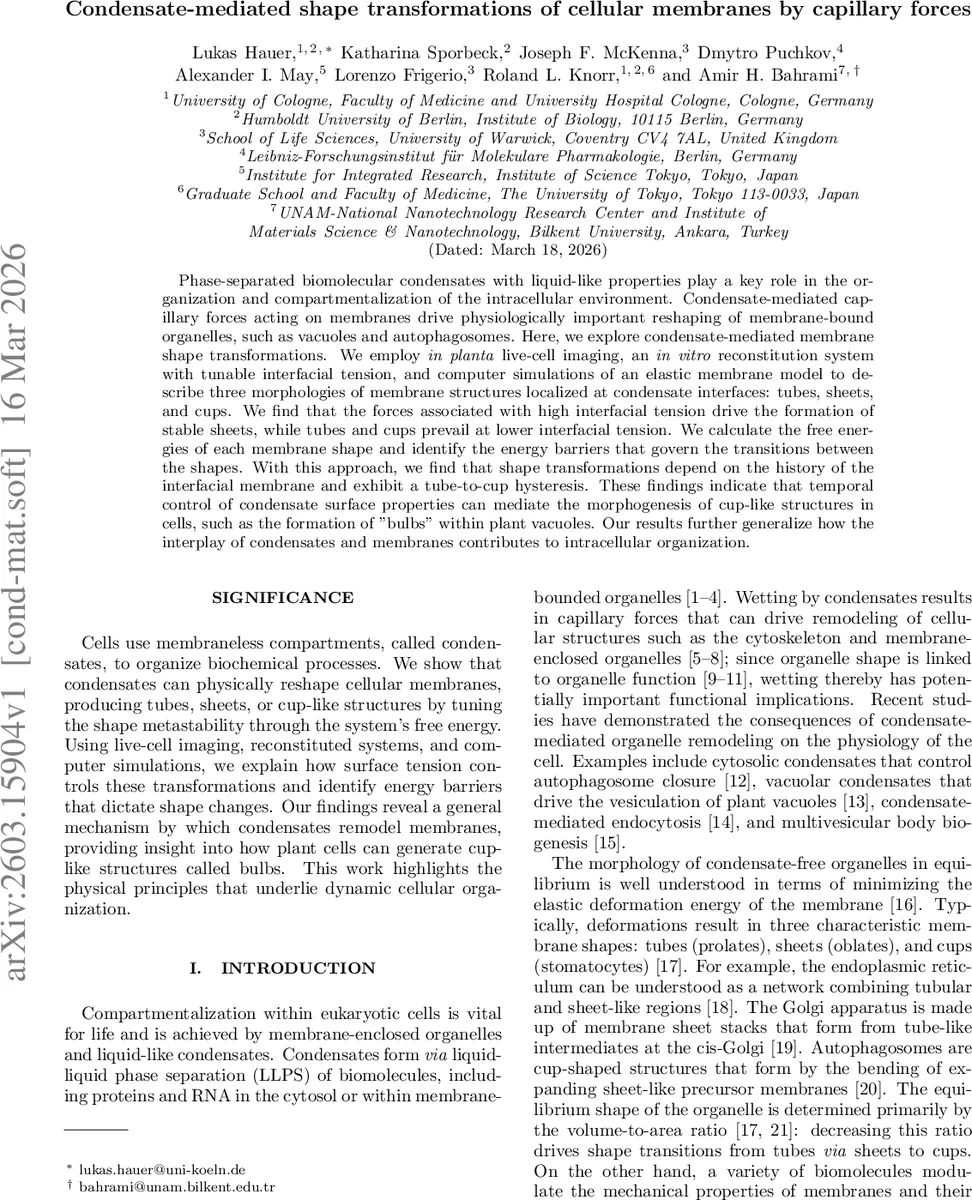 Latent Class Model with Application to Speaker Diarization
