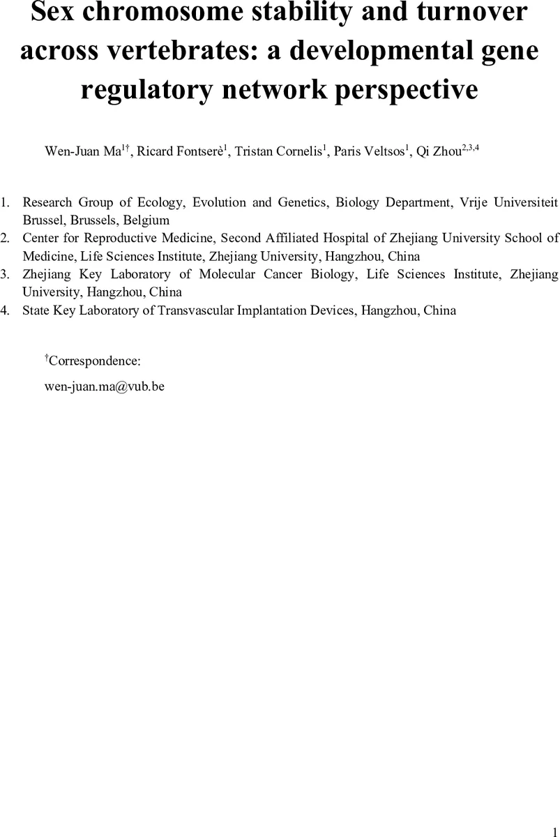 Sex chromosome stability and turnover across vertebrates: a developmental gene regulatory network perspective