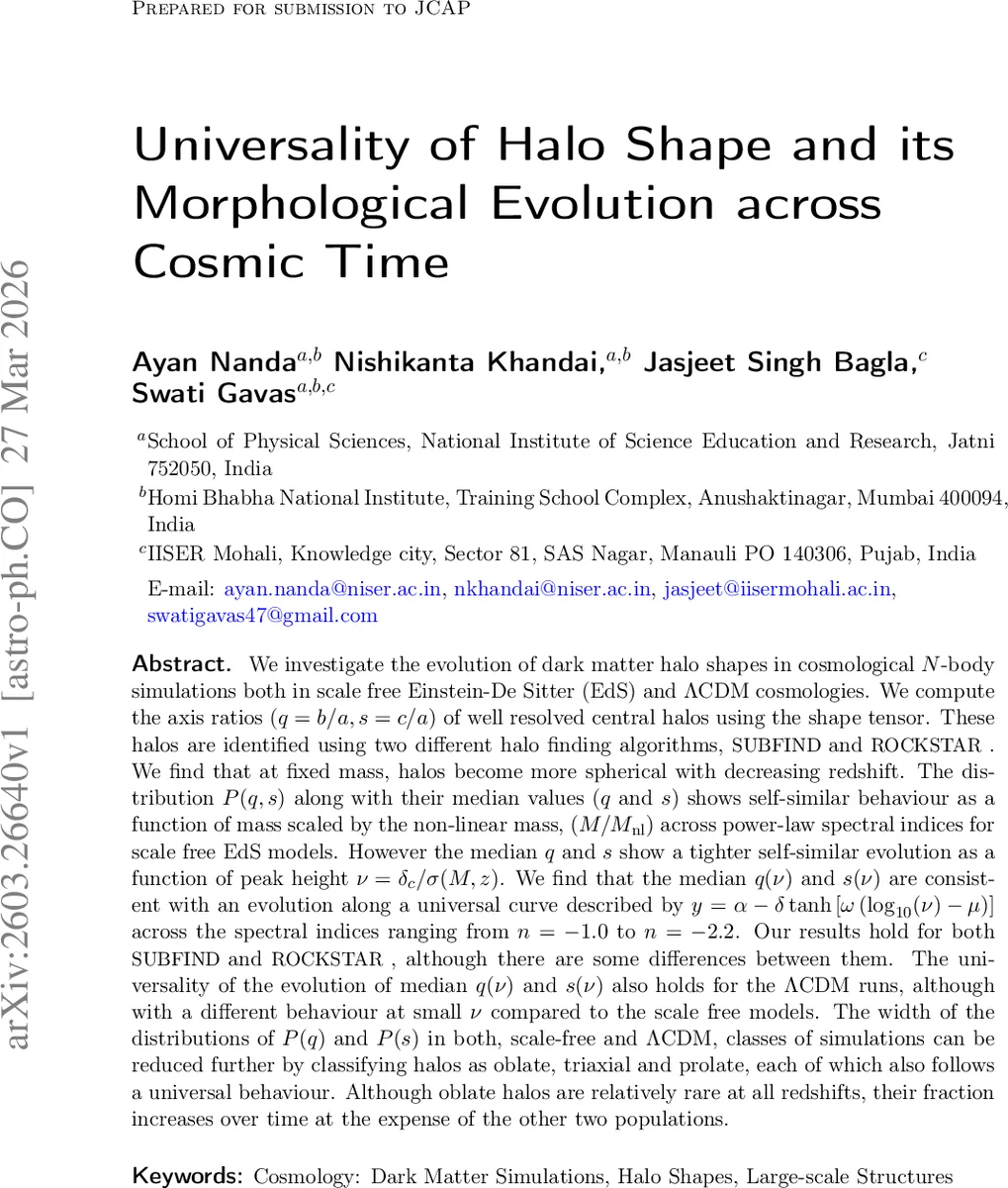 Universality of Halo Shape and its Morphological Evolution across Cosmic Time