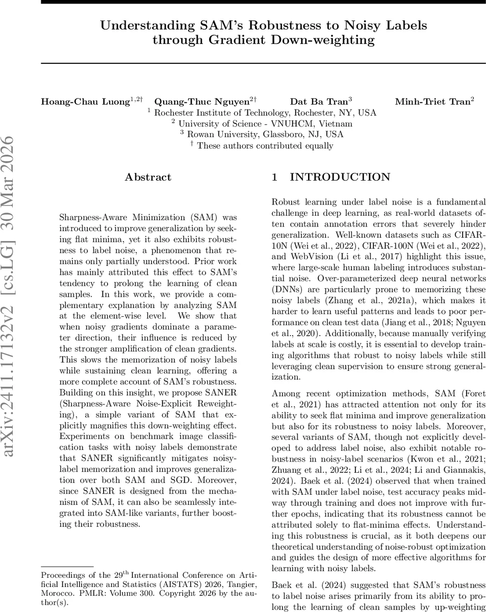 Understanding SAM's Robustness to Noisy Labels through Gradient Down-weighting