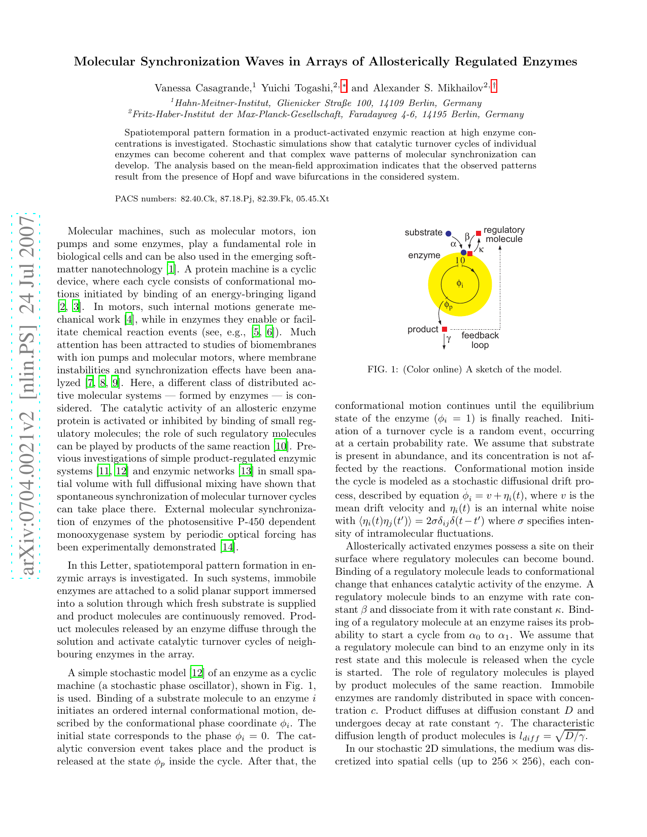 Molecular Synchronization Waves in Arrays of Allosterically Regulated Enzymes