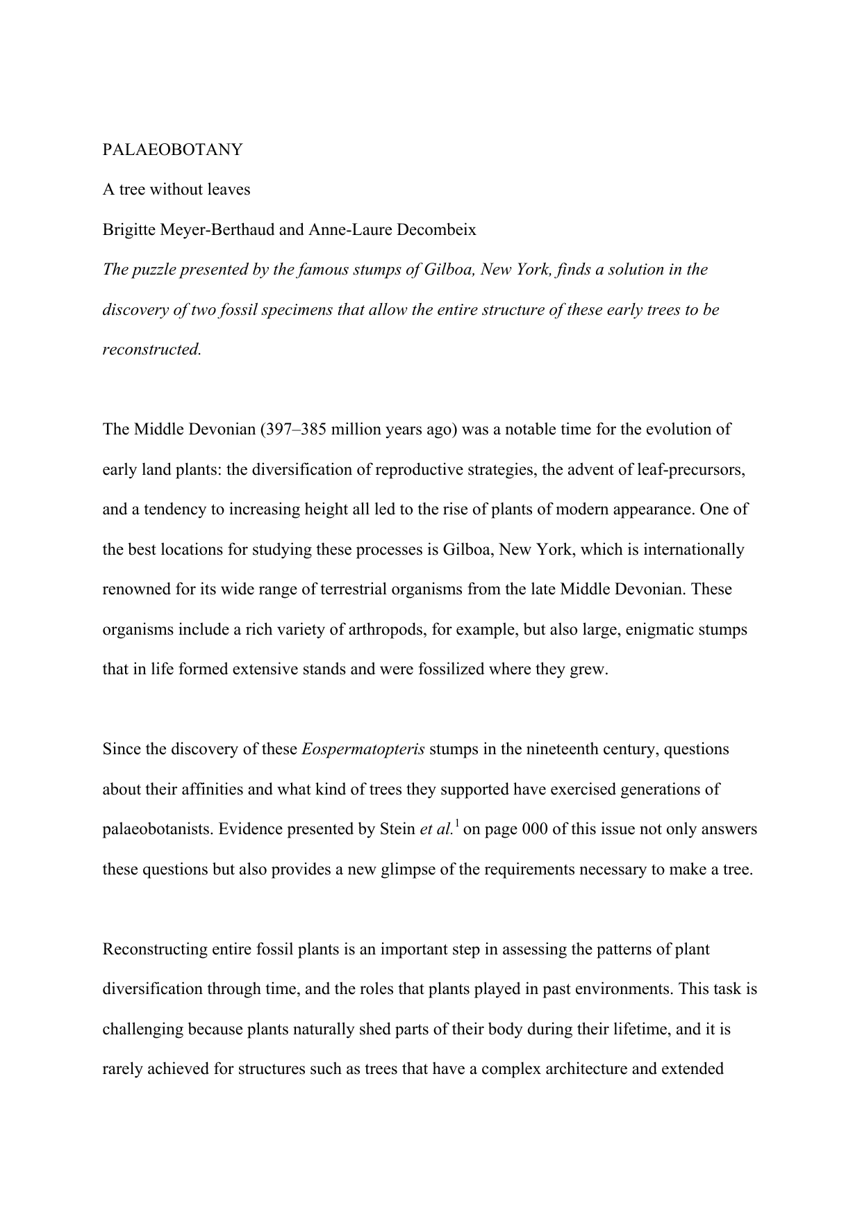 A tree without leaves