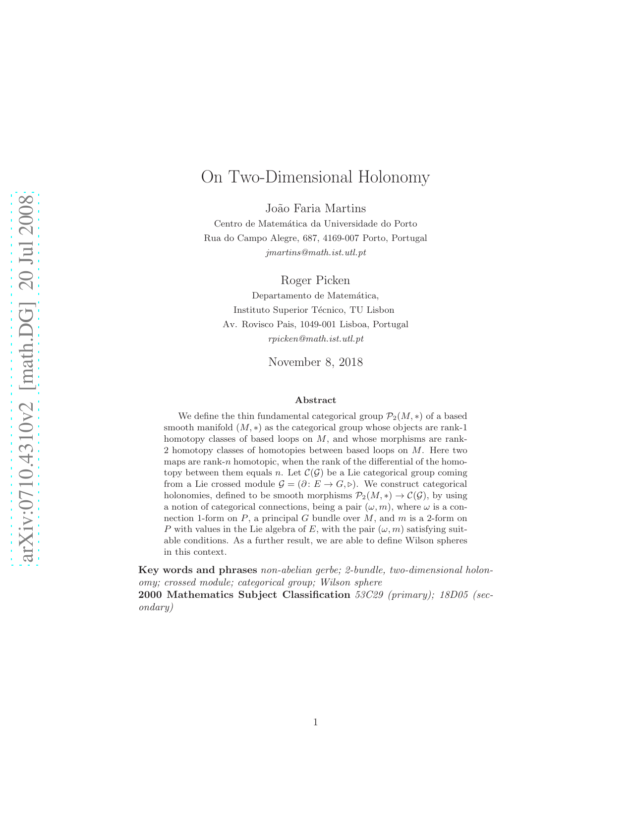 On two-Dimensional Holonomy