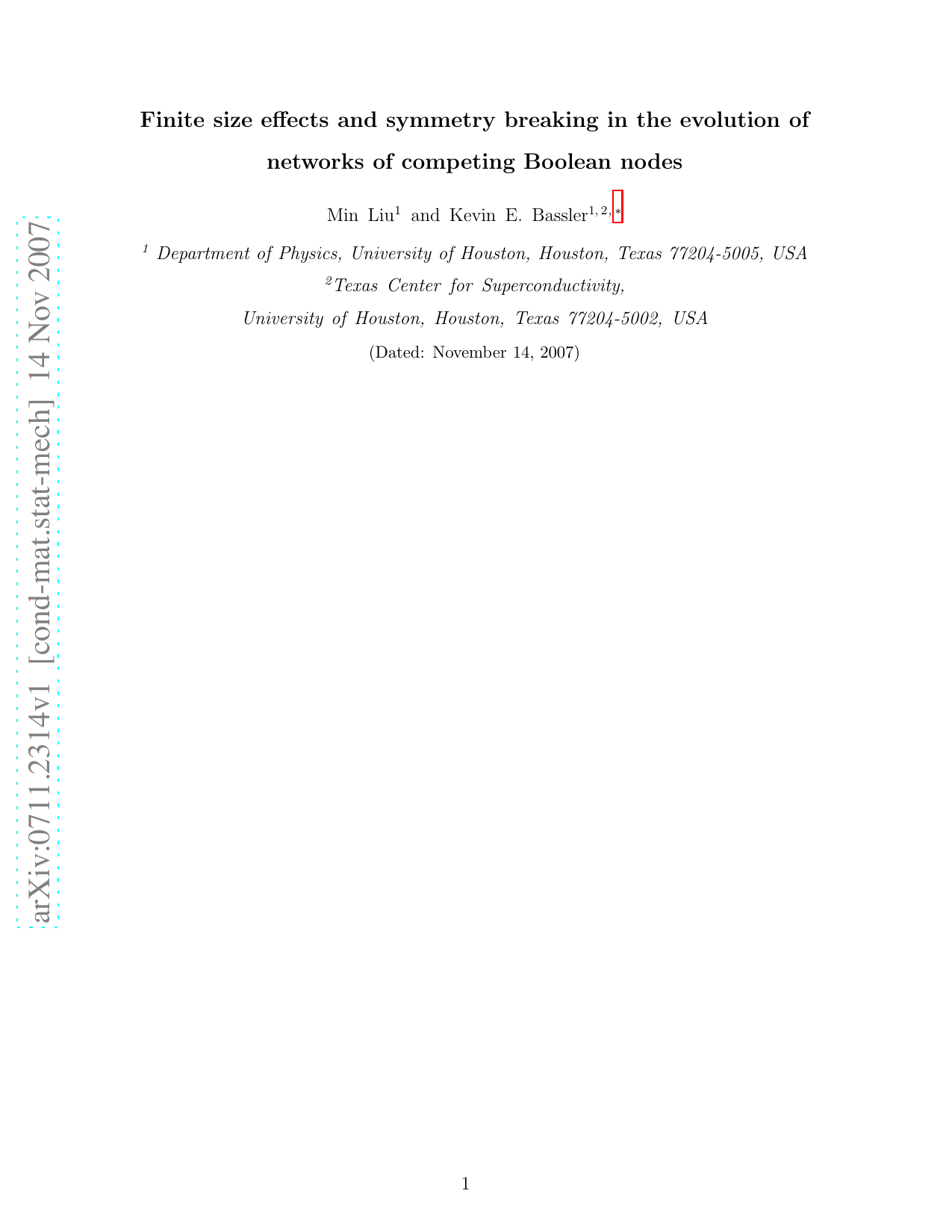 Finite size effects and symmetry breaking in the evolution of networks   of competing Boolean nodes