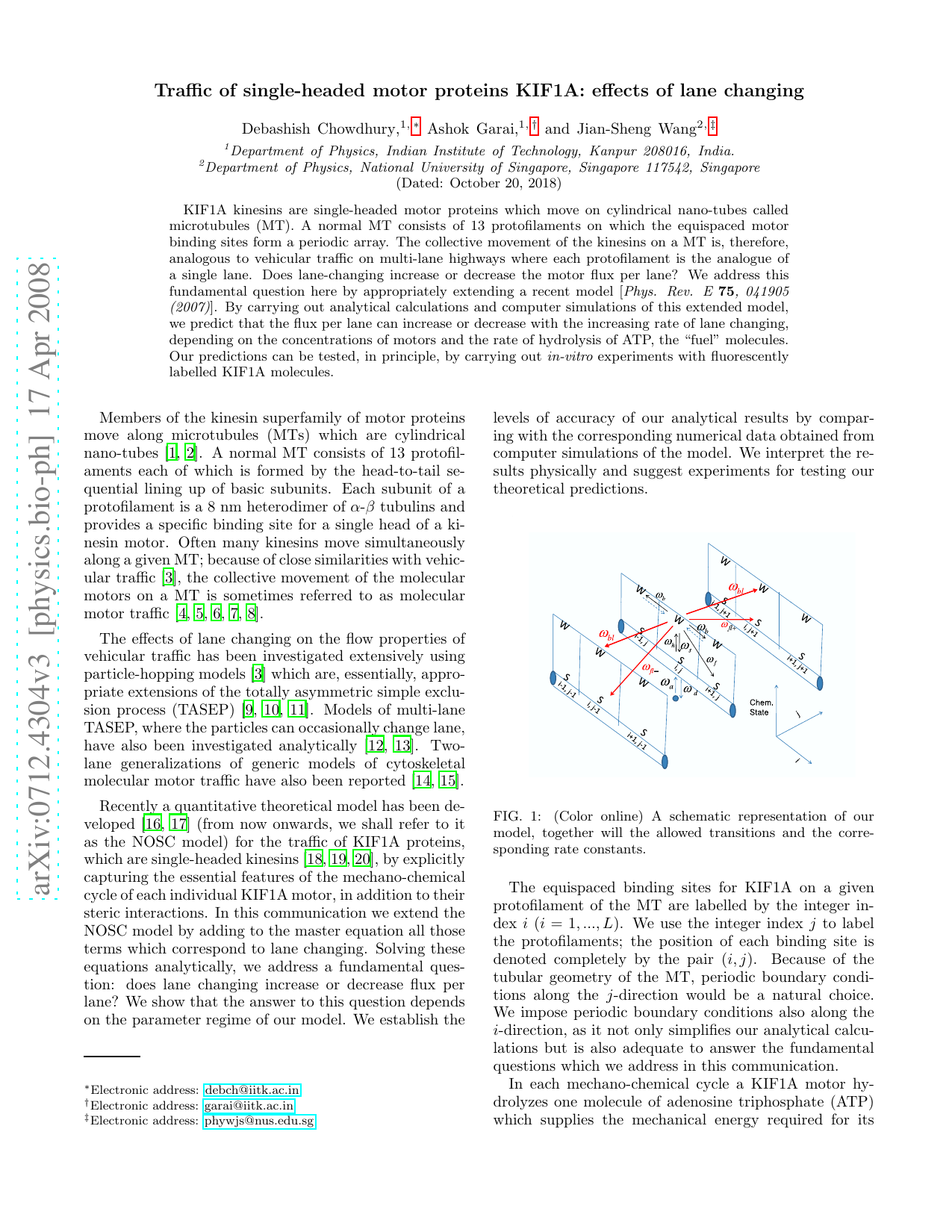 Traffic of single-headed motor proteins KIF1A: effects of lane changing