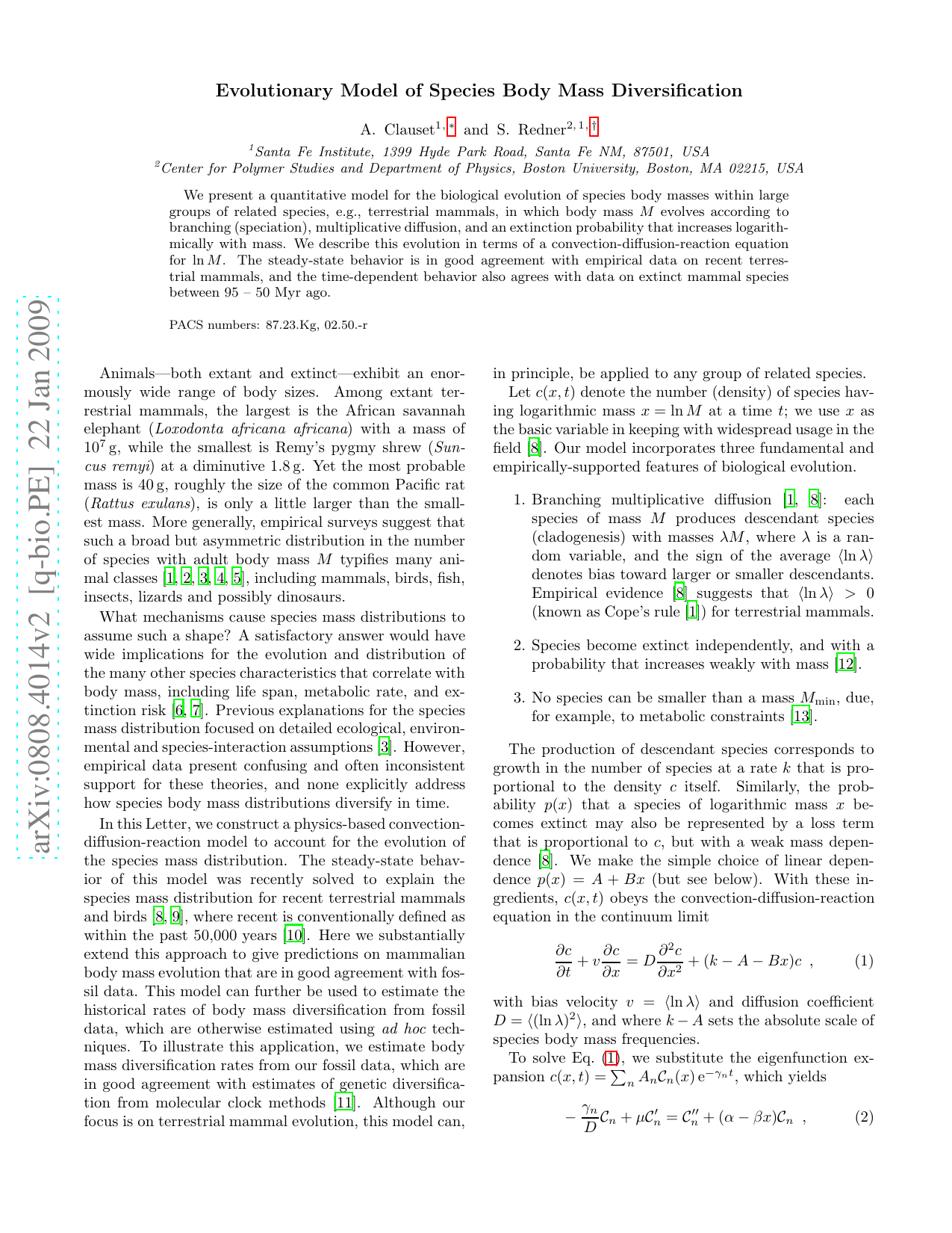 Evolutionary Model of Species Body Mass Diversification