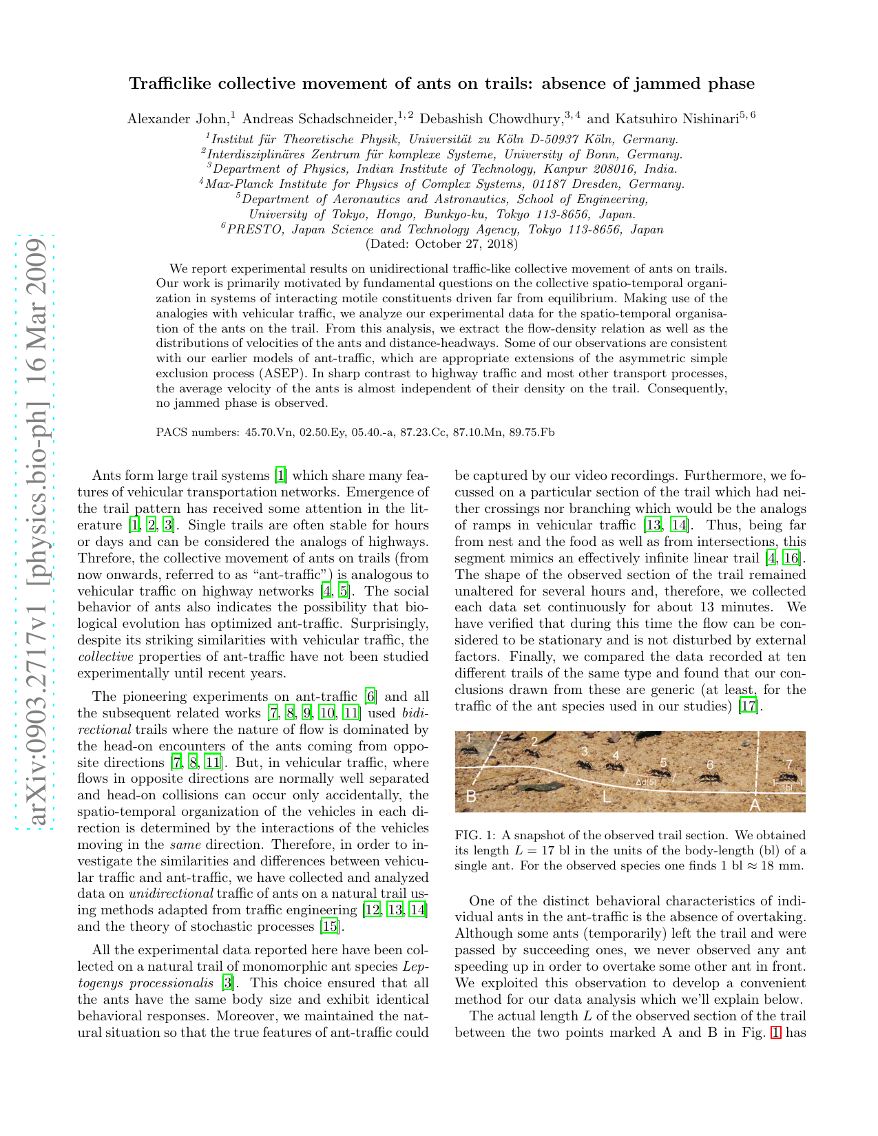 Trafficlike collective movement of ants on trails: absence of jammed   phase