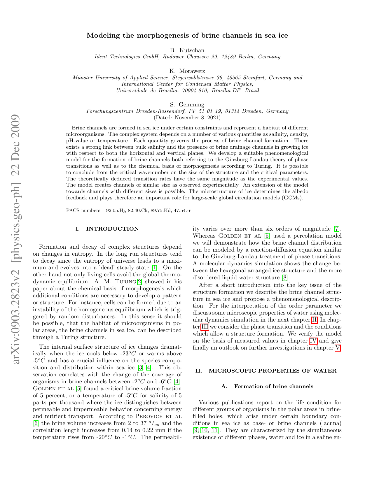 Modeling the morphogenesis of brine channels in sea ice