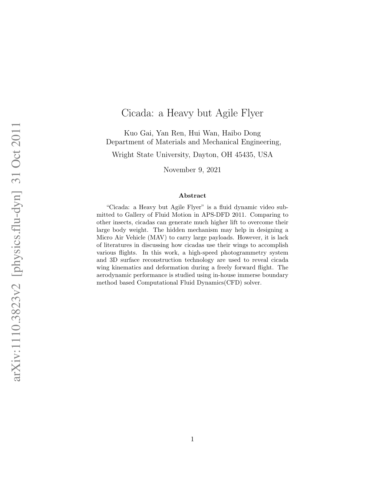 매미: 무겁지만 민첩한 비행의 비밀