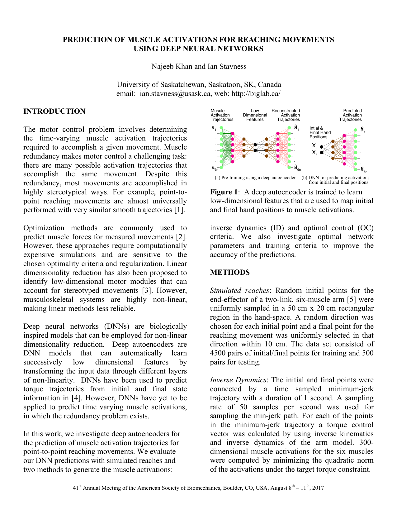 Prediction of Muscle Activations for Reaching Movements using Deep Neural Networks
