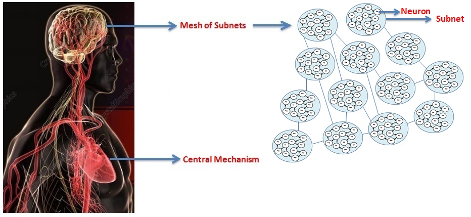 Rethinking the Artificial Neural Networks: A Mesh of Subnets with a   Central Mechanism for Storing and Predicting the Data