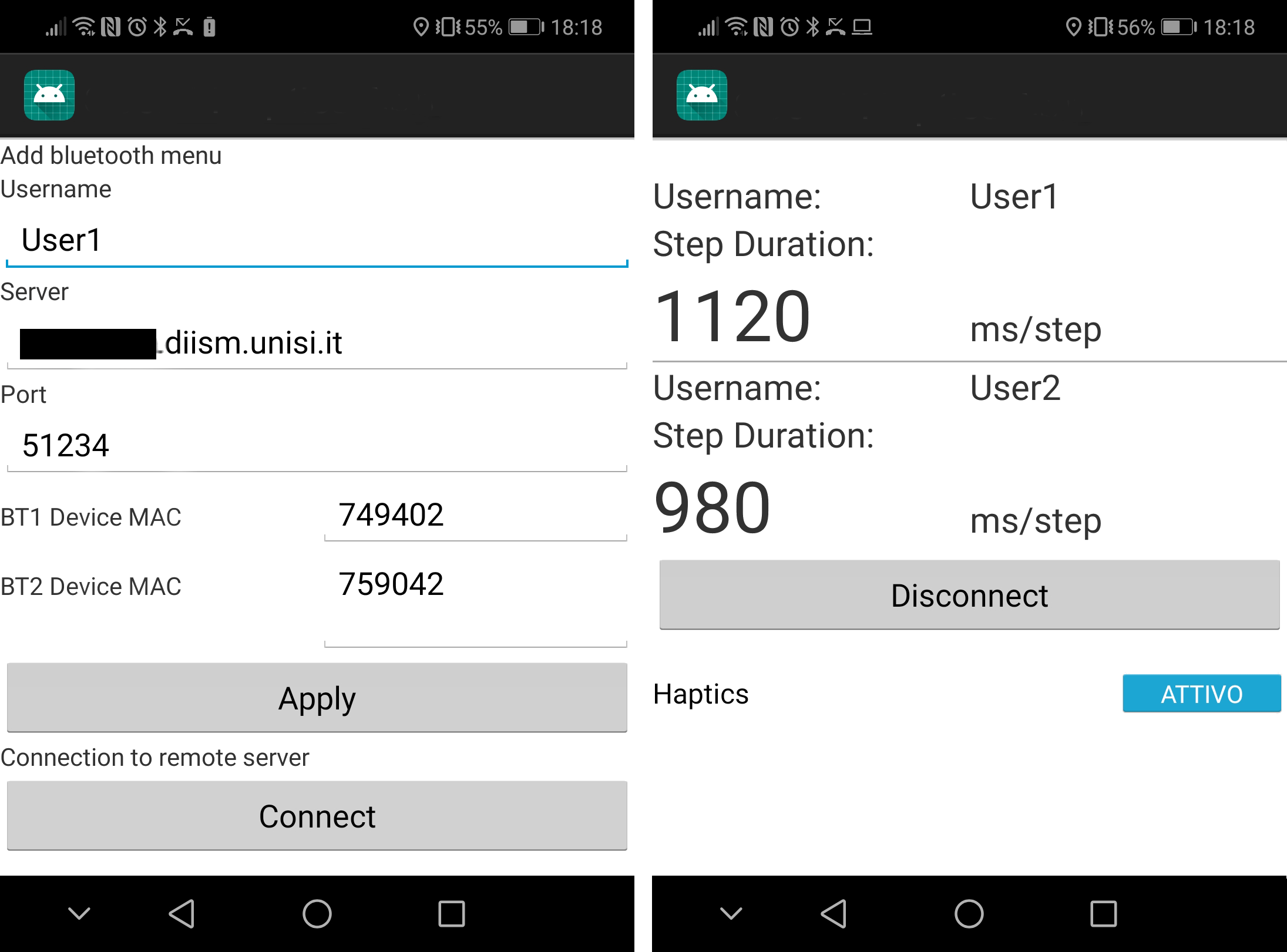Wearable Haptics for Remote Social Walking