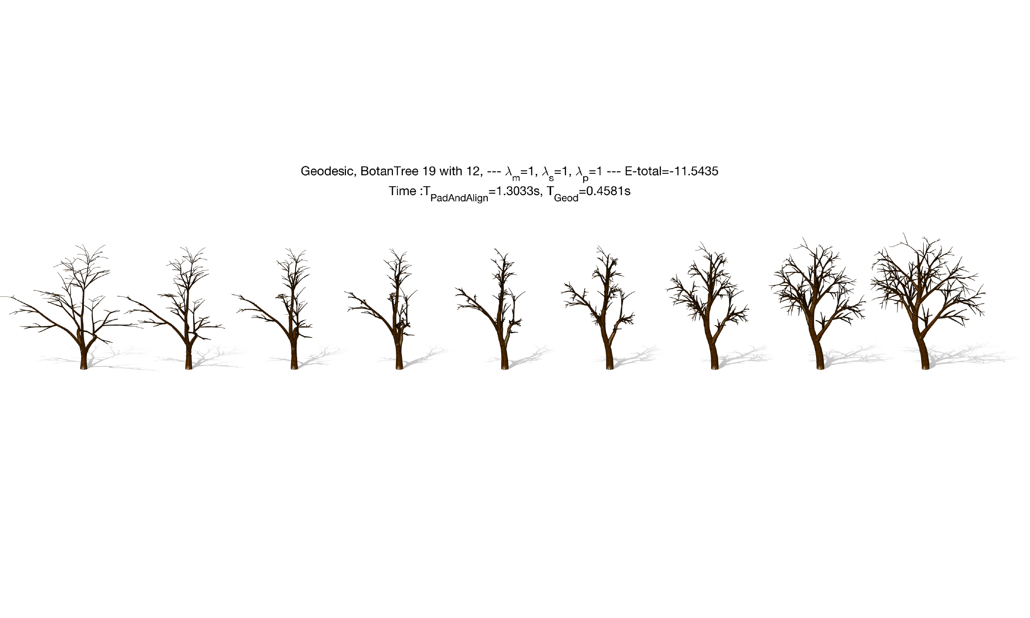 Elastic Shape Analysis of Tree-like 3D Objects using Extended SRVF Representation