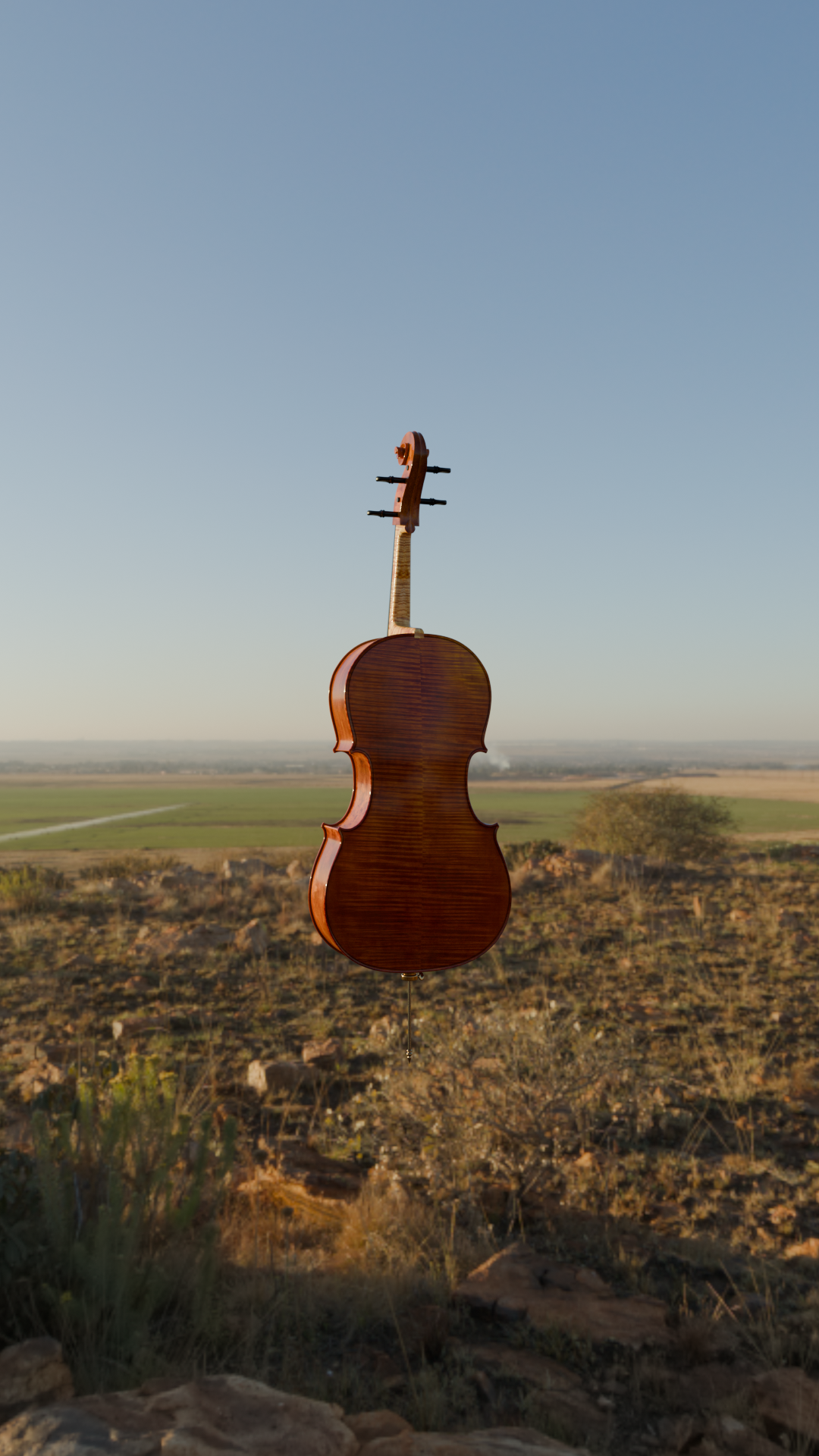 Cello_syferfontein_6d_clear_3_blendersynth.png