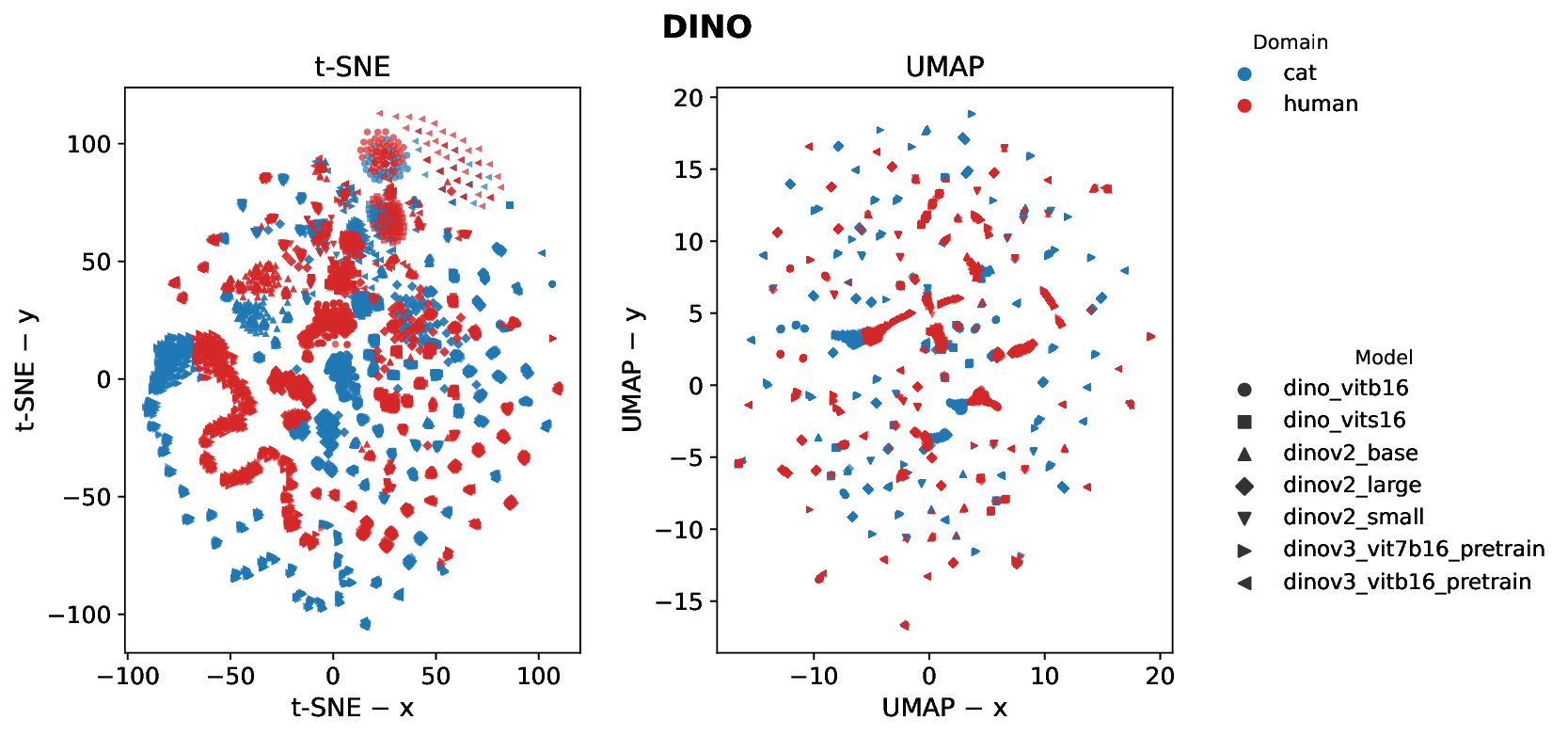 fig_dino_embeddings.png