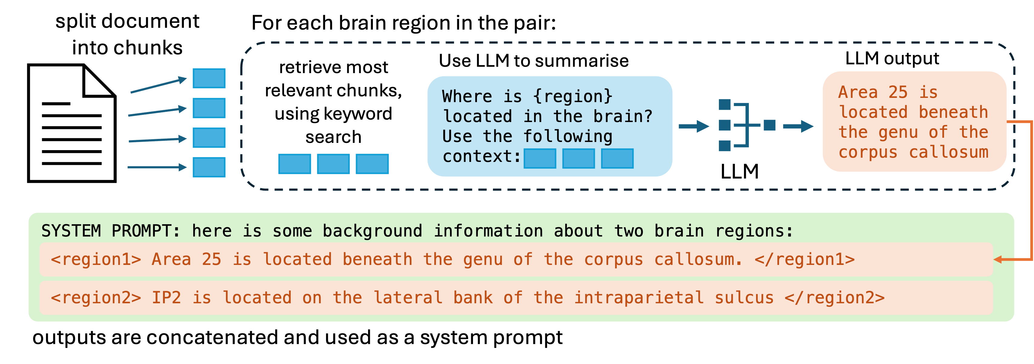 Connectomics Informed by Large Language Models