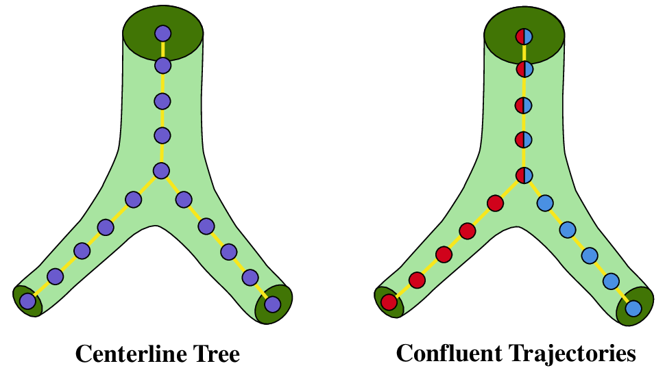RefTr: Recurrent Refinement of Confluent Trajectories for 3D Vascular Tree Centerline Graphs