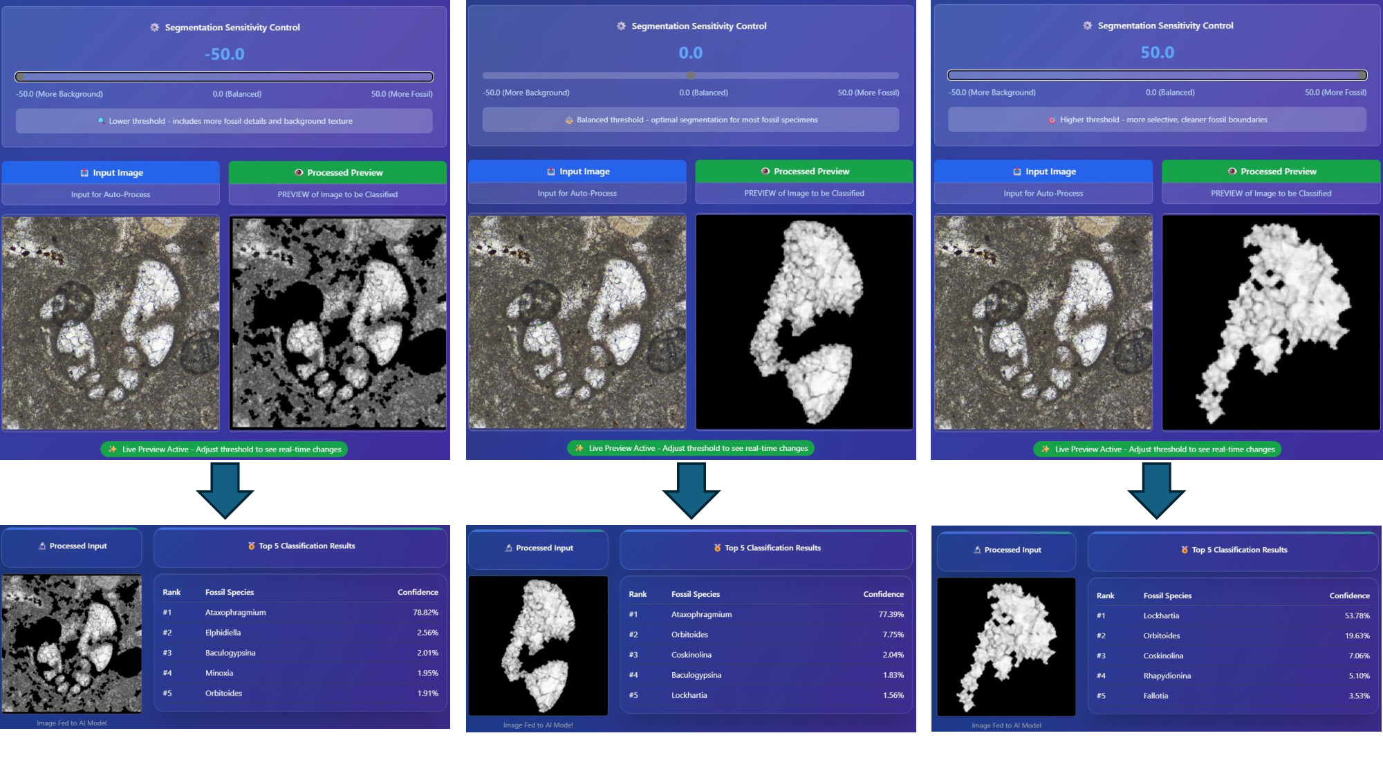 ForamDeepSlice: A High-Accuracy Deep Learning Framework for Foraminifera Species Classification from 2D Micro-CT Slices