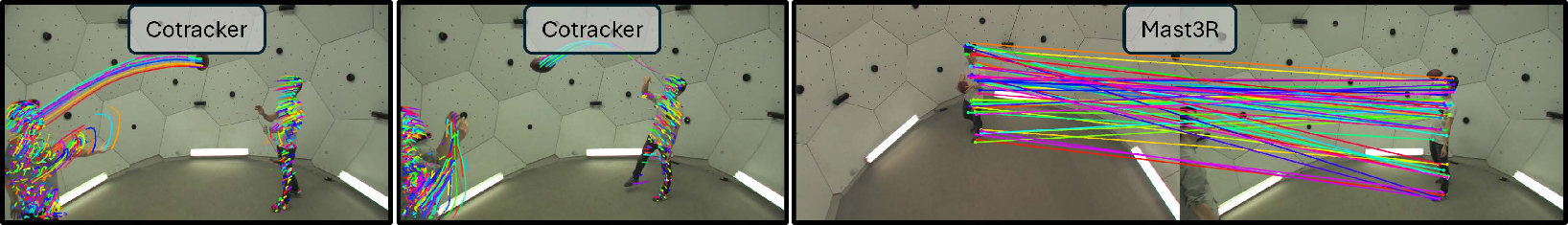 cotracker_mast3r.png