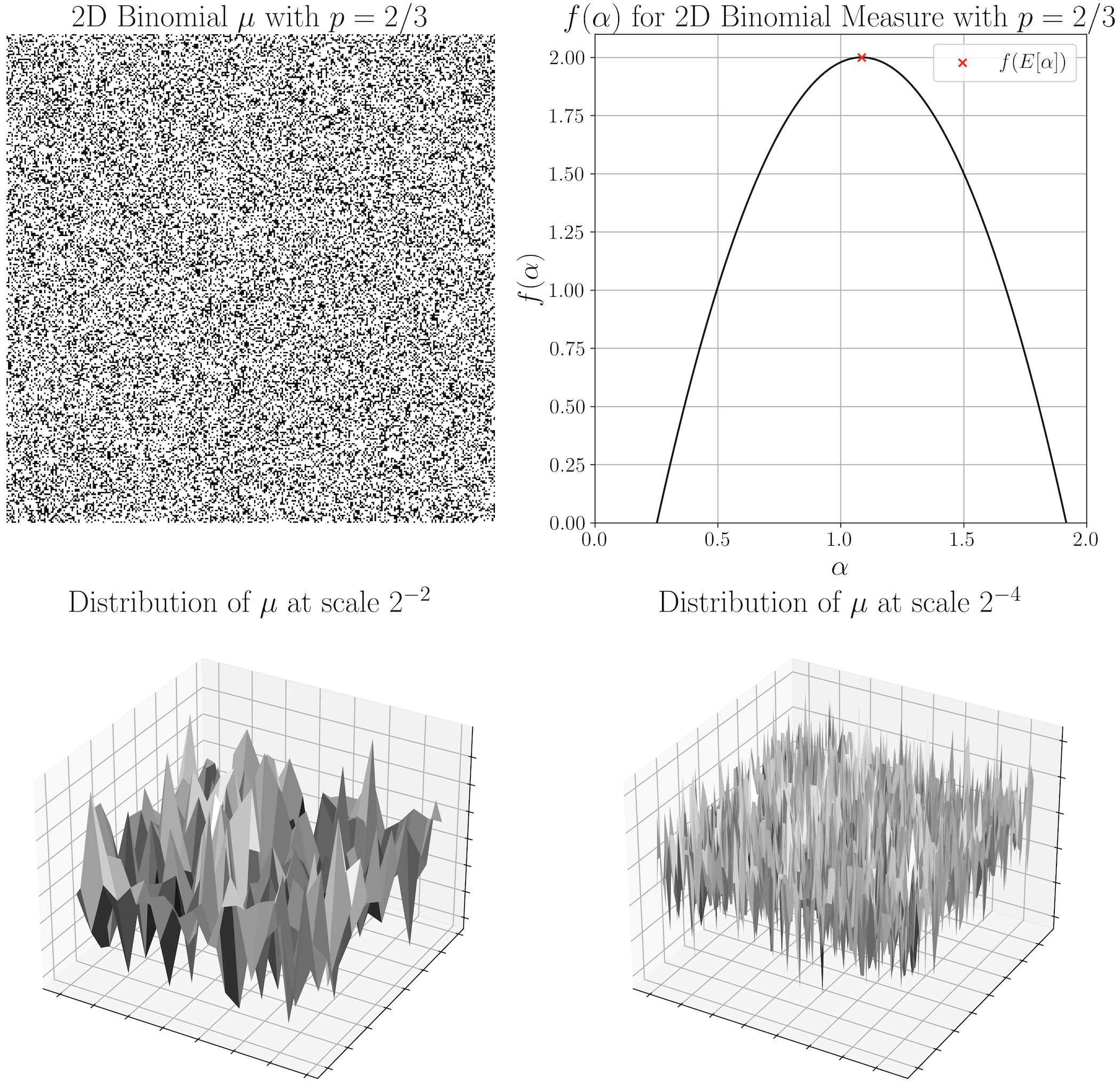 Multifractal Recalibration of Neural Networks for Medical Imaging Segmentation