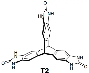 T2molecule.webp