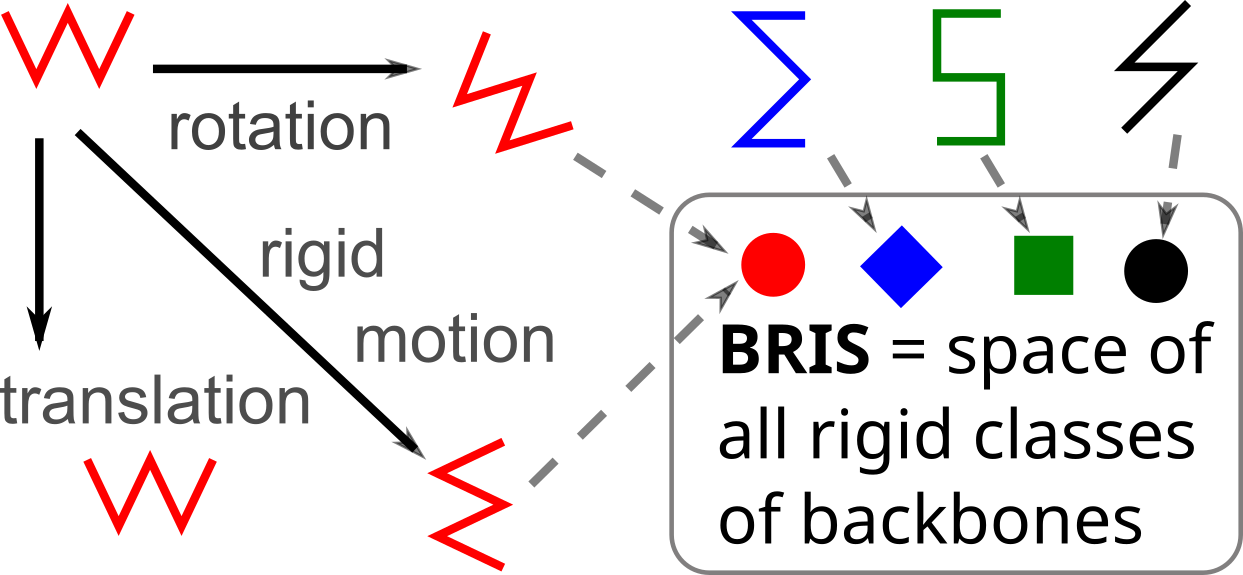 backbone-rigid-space_colour.png